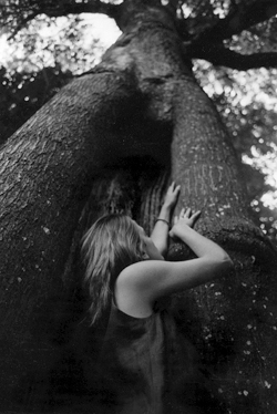 woman and tree stars