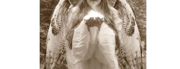 Solstice Angel